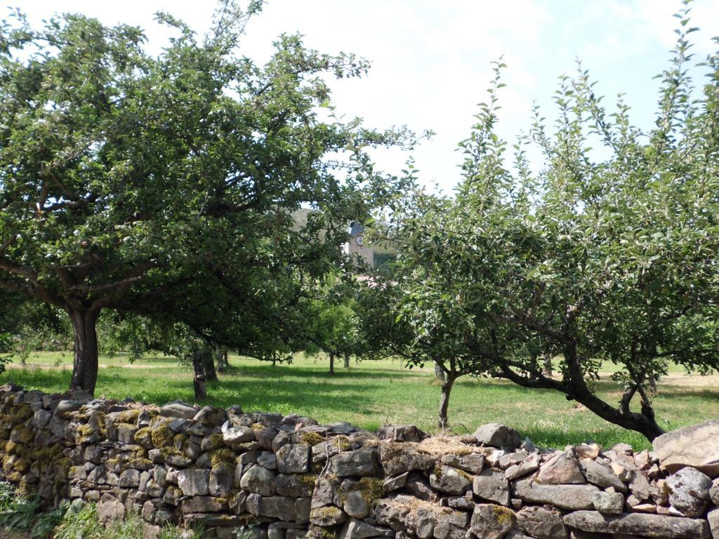 Casa Rural La Altanera Barniedo de la Reina エクステリア 写真